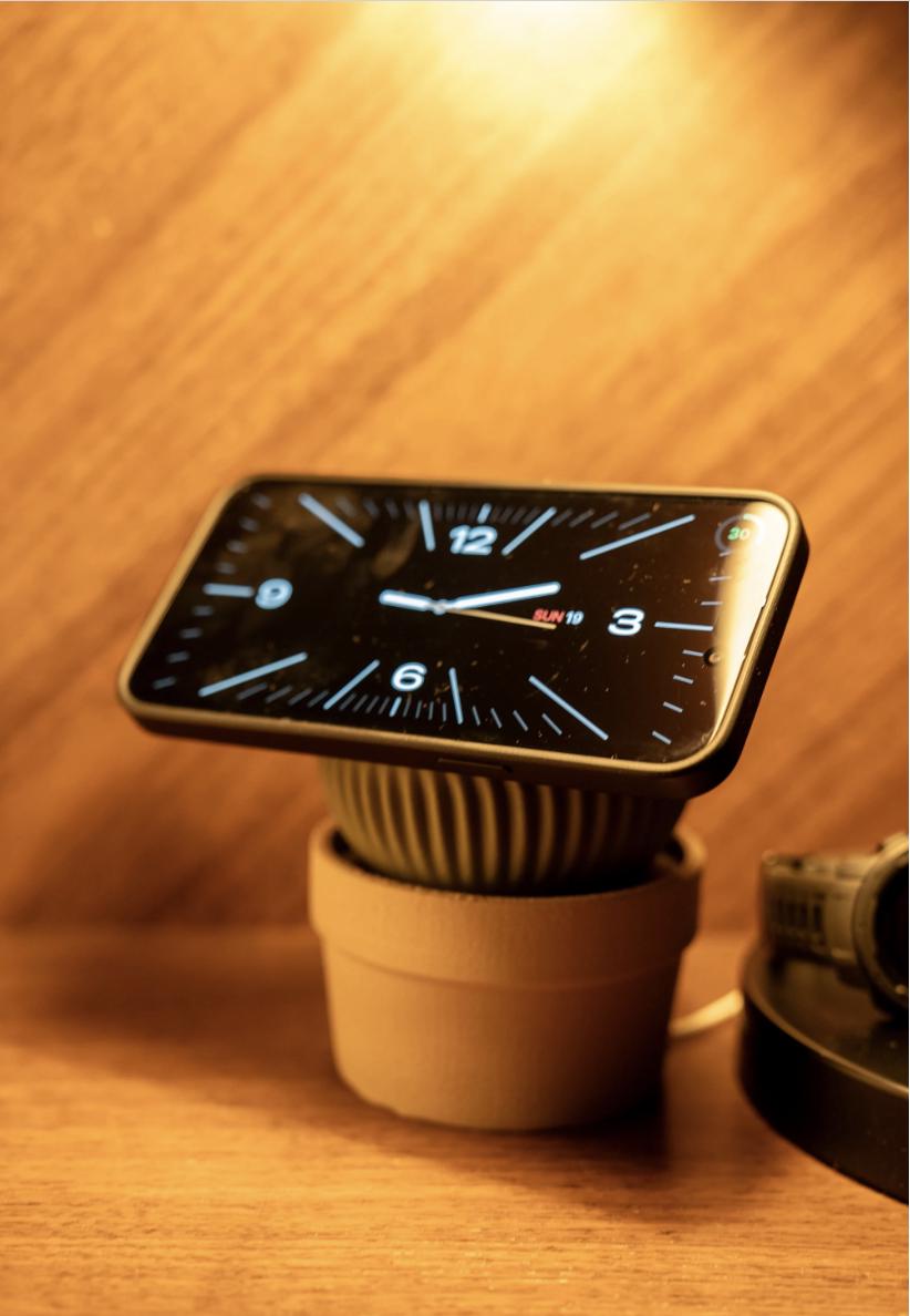 Cactus Succulent MagSafe Charger: Plant Lover Phone Dock