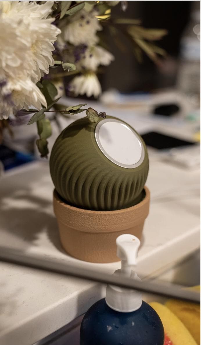 Cactus Succulent MagSafe Charger: Plant Lover Phone Dock