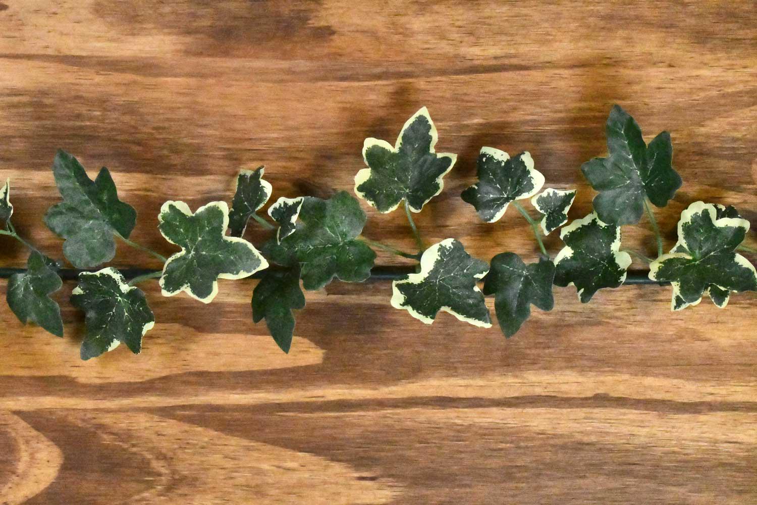 USB-C Cable with Ivy Leaf Design